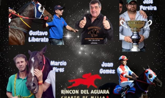 DESDE LAS GATERAS POR STREAMING N 7