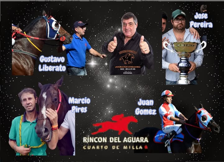 DESDE LAS GATERAS POR STREAMING N 7