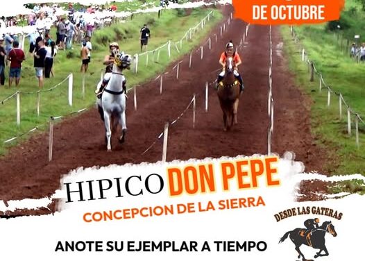 EL DON PEPE EN CONCEPCIÓN YA TIENE NUEVA FECHA