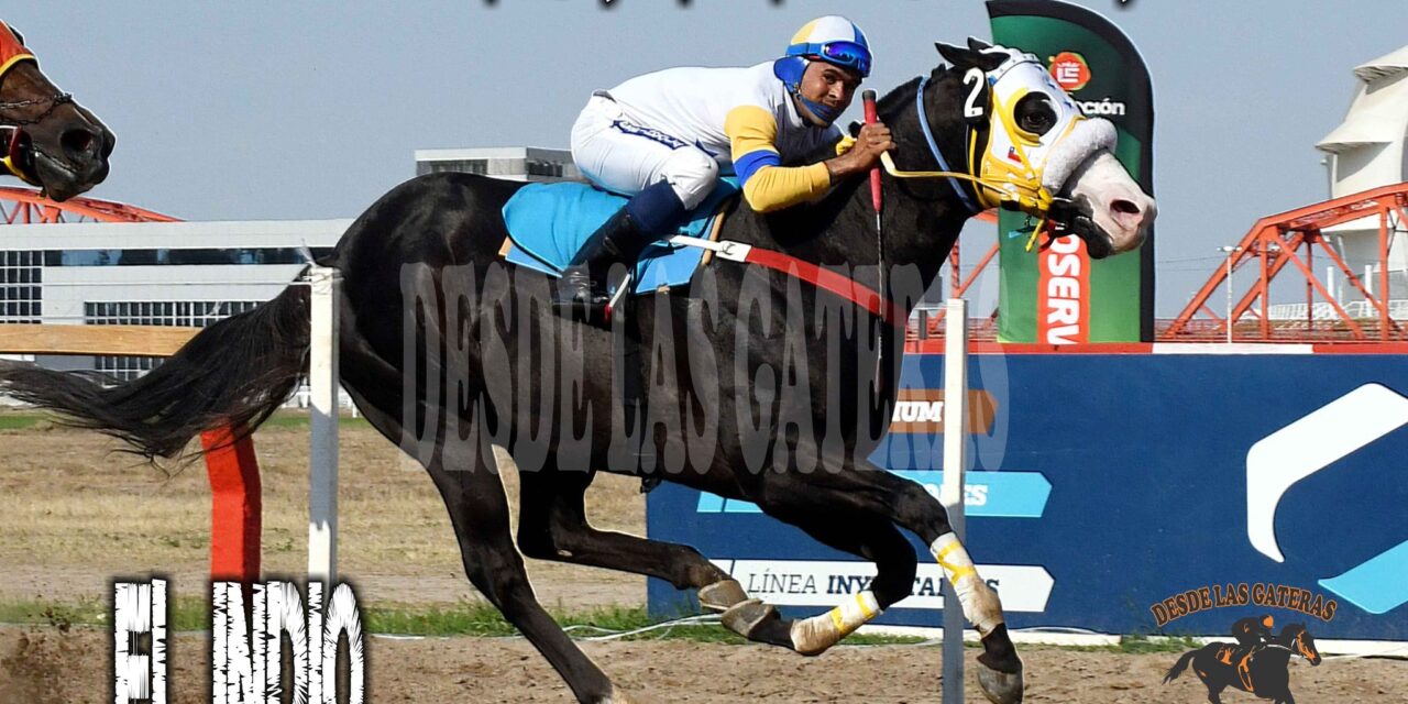EL INDIO AL ABORDAJE en el Hípódromo 27 de Abril Santiago del Estero 14/09/25