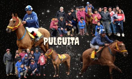 PULGUITA – HIPICO OJO DE AGUA, MISIONES 24.08.2025
