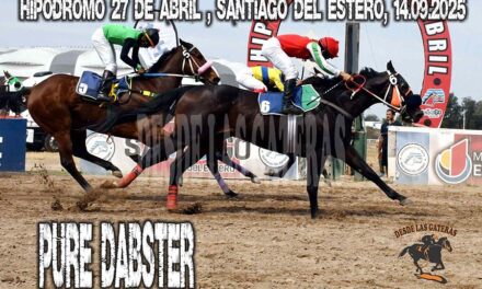 PURE DABSTER – CLASICO – HIPÓDROMO 27 DE ABRIL, SANTIAGO DEL ESTERO 14.09.2025