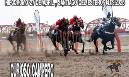 Curioso por correr, campero para ganar…
