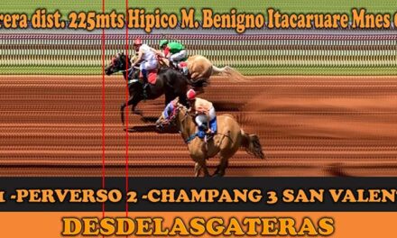 HIPICO MAICOL BENIGNO ITACARUARE 5-10-2025