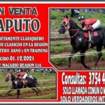 SENSACIONAL OPORTUNIDAD