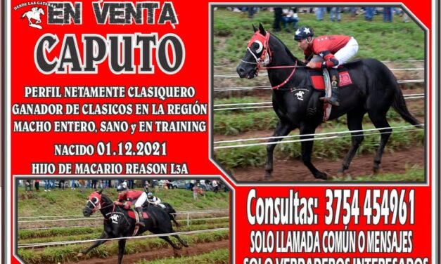 SENSACIONAL OPORTUNIDAD