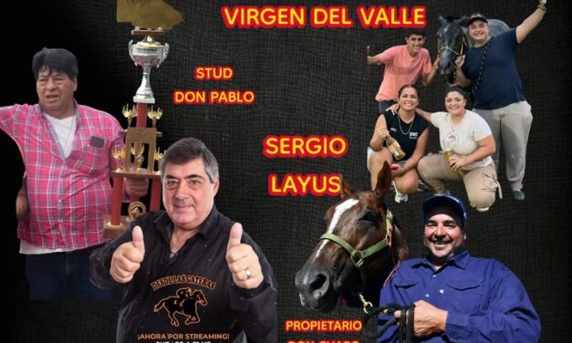 ES UN LUJO QUE NOS DAMOS NUESTRO DESDE LAS GATERAS N° 19