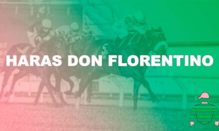 HARAS DON FLORENTINO