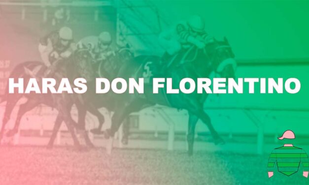 HARAS DON FLORENTINO