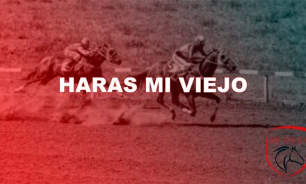 HARAS MI VIEJO
