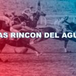 HARAS RINCÓN DEL AGUARA