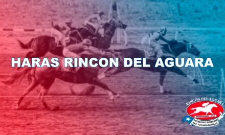 HARAS RINCÓN DEL AGUARA