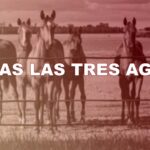 HARAS LAS TRES AGUAS