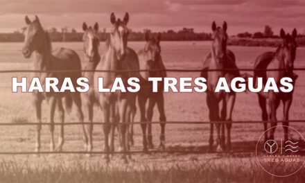 HARAS LAS TRES AGUAS