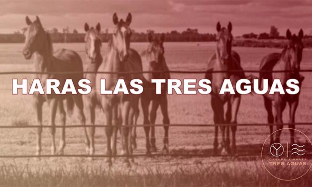 HARAS LAS TRES AGUAS