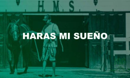 HARAS MI SUEÑO