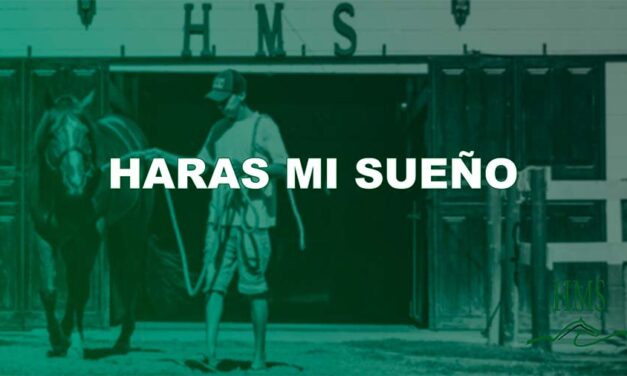 HARAS MI SUEÑO