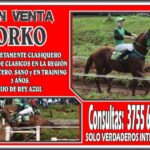 ATENCIÓN SEÑORES! EXCELENTE OPORTUNIDAD, SOLO PARA VERDADEROS INTERESADOS!!! LOS MISMOS CONSULTAR AL NUMERO QUE APARECE EN LA PLACA