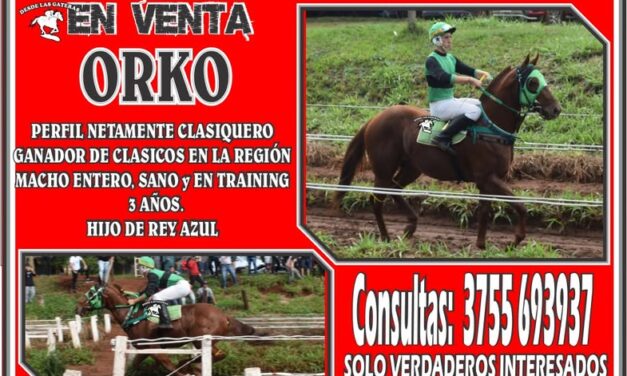 ATENCIÓN SEÑORES! EXCELENTE OPORTUNIDAD, SOLO PARA VERDADEROS INTERESADOS!!! LOS MISMOS CONSULTAR AL NUMERO QUE APARECE EN LA PLACA