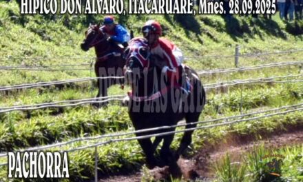 PACHORRA – CLASICO – HIPICO DON ALVARO, ITACARUARE, MISIONES 28.09.2025