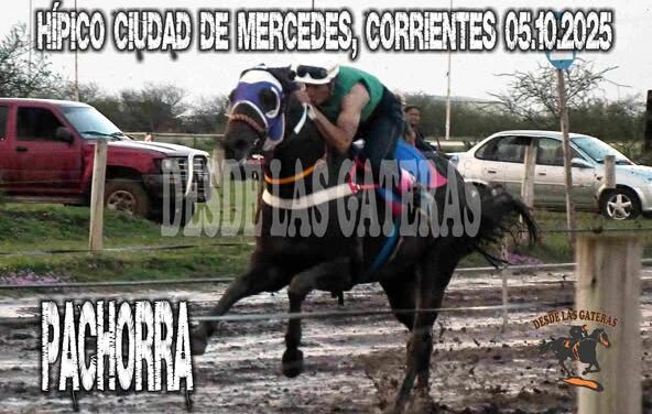 NINGUNA PACHORRA  – HIPICO CIUDAD DE MERCEDES, CORRIENTES, 05.10.2025