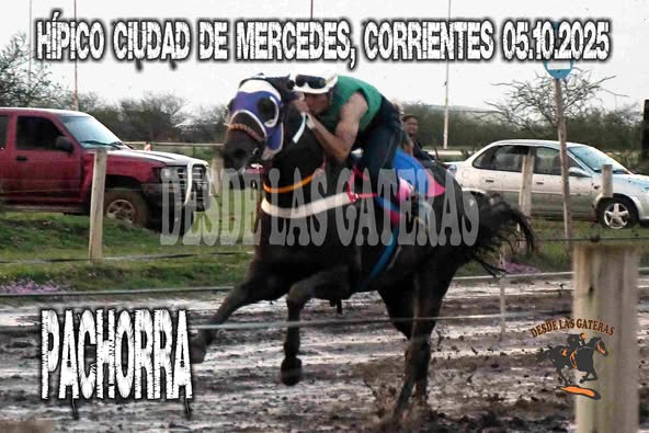 NINGUNA PACHORRA  – HIPICO CIUDAD DE MERCEDES, CORRIENTES, 05.10.2025