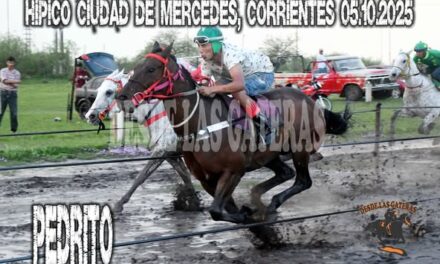 PEDRITO – HIPICO CIUDAD DE MERCEDES, CORRIENTES, 05.10.2025