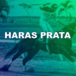 HARAS PRATA