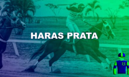 HARAS PRATA
