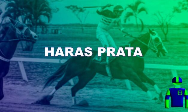 HARAS PRATA