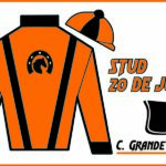 STUD 20 DE JUNIO