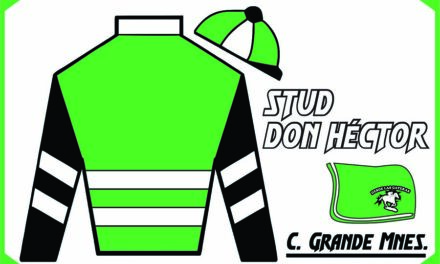 STUD DON HECTOR