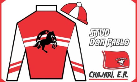 STUD DON PABLO