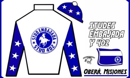 STUD EMBAJADA Y 402