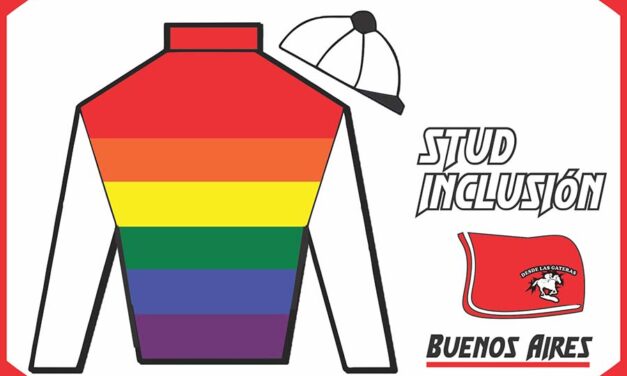 STUD INCLUSION