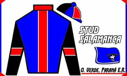 STUD SALAMANCA