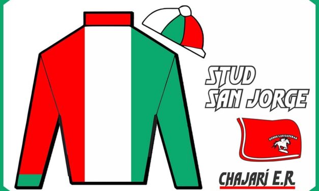 STUD SAN JORGE