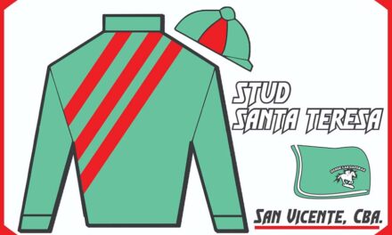 STUD SANTA TERESA