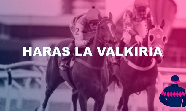 HARAS LA VALKIRIA