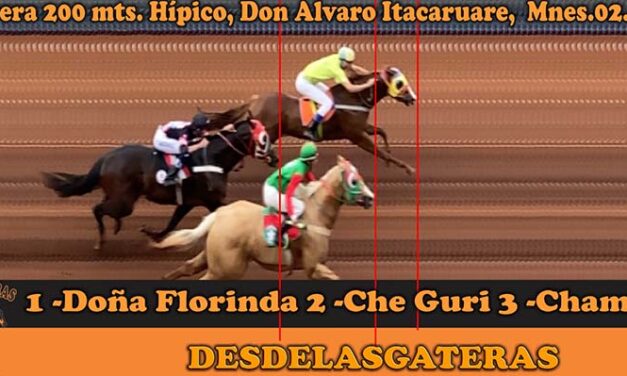 Los 8 finales de las carreras del día de ayer disputadas en el Hipico DON ALVARO, de Itacaruare 02-11-2025