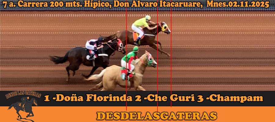 Los 8 finales de las carreras del día de ayer disputadas en el Hipico DON ALVARO, de Itacaruare 02-11-2025