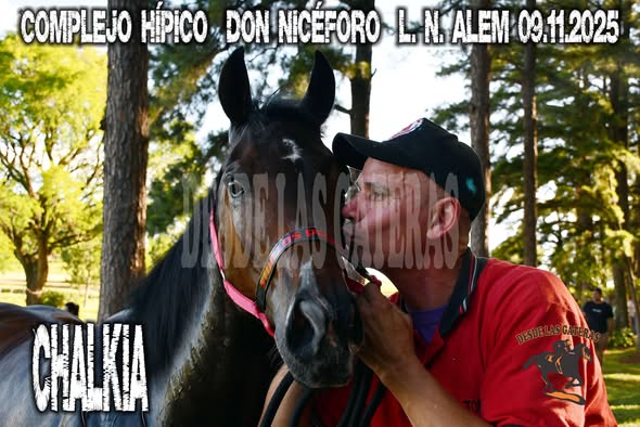 REINO CHALKIA