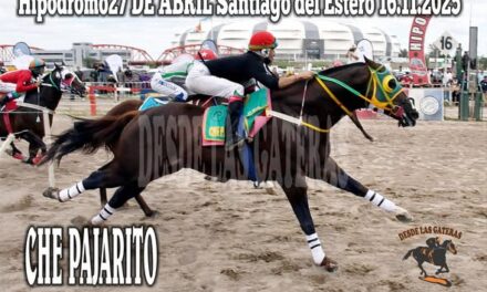 CHE PAJARITO – CLASICO VERTIGO – HIPÓDROMO 27 DE ABRIL, SANTIAGO DEL ESTERO 16.11.2025