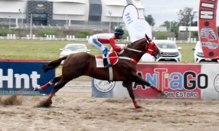 4ta carrera ganador EL TORO de SOLANGE MEDINA, STUD MALOS TRATOS