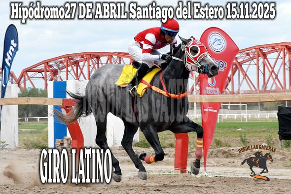 11ra carrera ganador GIRO LATINO  de STUD CELESTINA V