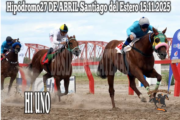 13 RA CARRERA GANADOR HI UNO DE MURATORE, STUD LOS CERRILLOS DE SALTA
