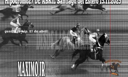 20ma carrera Ganador MAXIMO JR  Propietario ARIEL GOMEZ, Stud  EL QUEBRACHO CAT