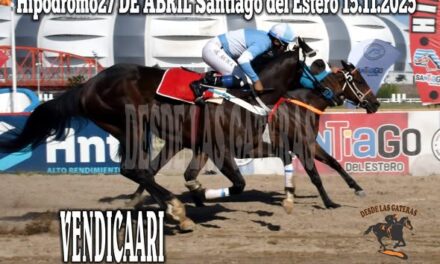 15TA CARRERA GANADOR1 VENDICAARI