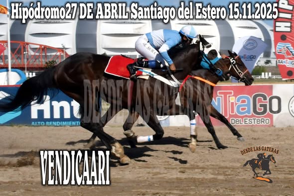 15TA CARRERA GANADOR1 VENDICAARI