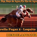 RESULTADOS DE LAS CARRERAS DISPUTADAS ESTE SÁBADO PASADO EN LAS INSTALACIONES DEL HIPICO OJO DE AGUA, BAJO LA ORGANIZACIÓN DE RICARDO ACUÑA Y JUAN GOMEZ